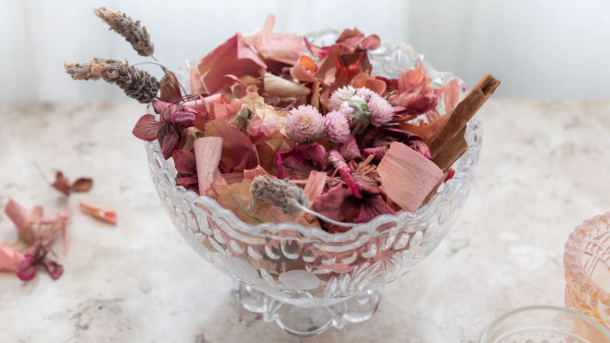 Potpourri